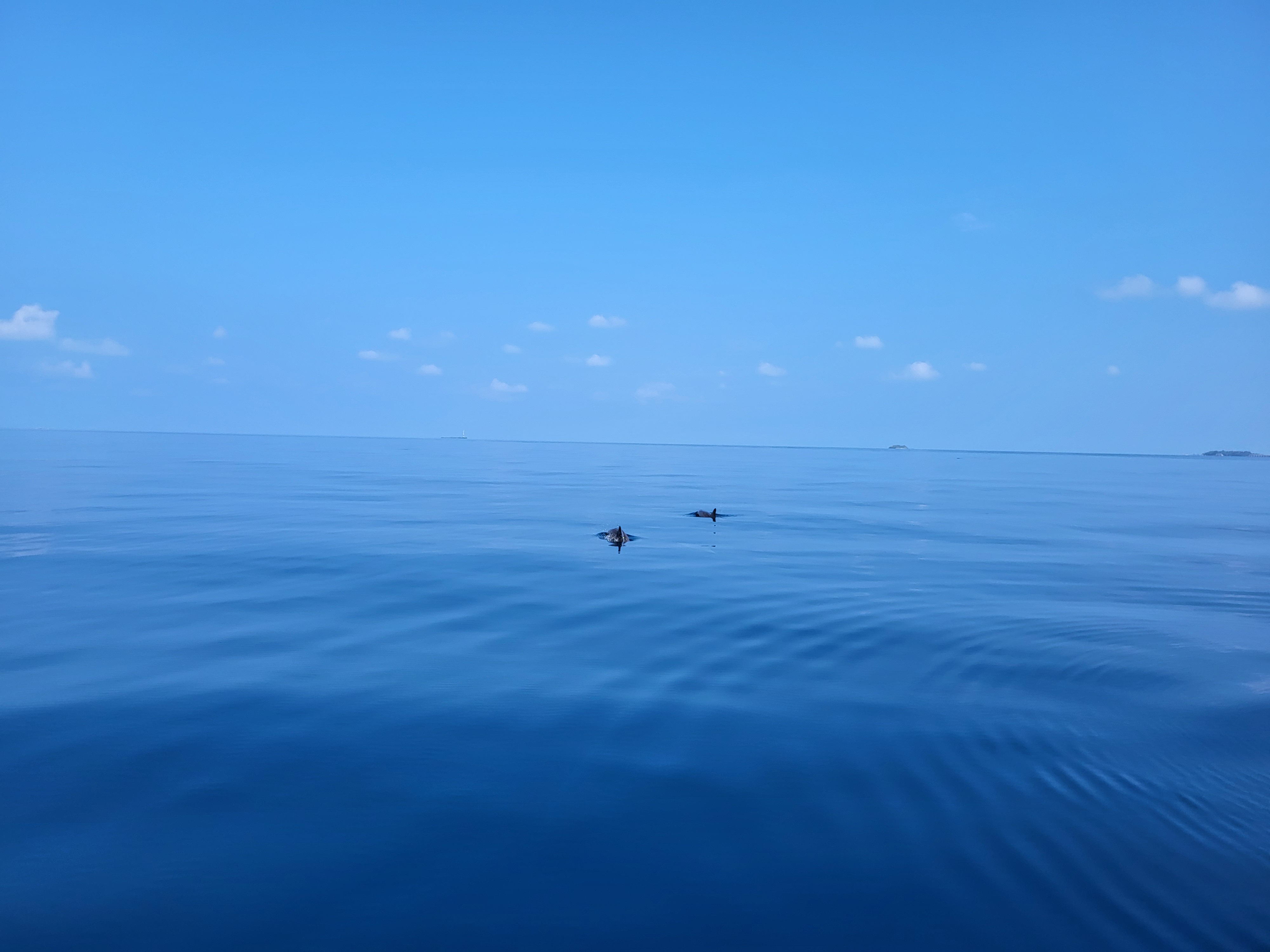 20230417_090558.jpg