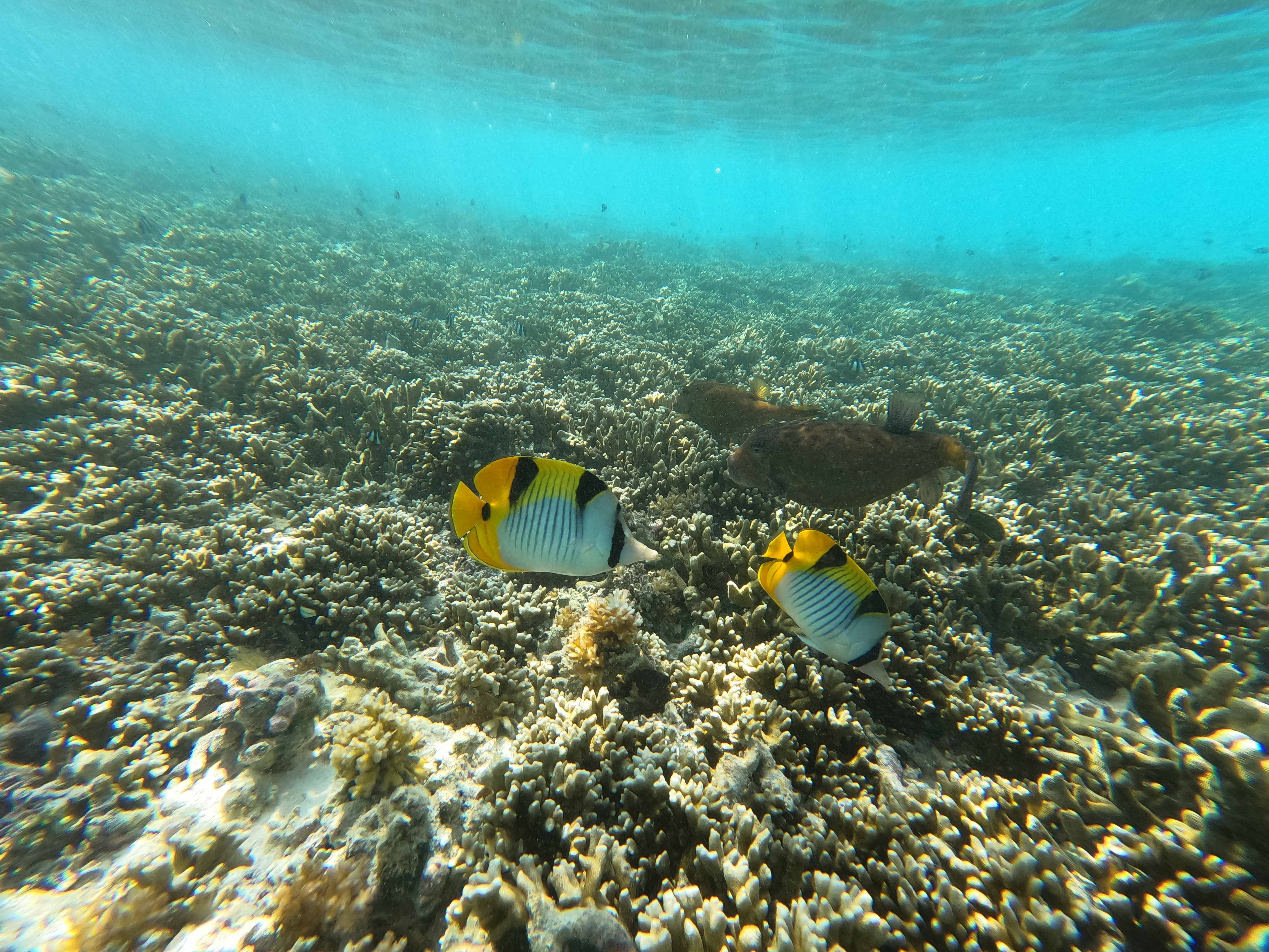 GOPR0114.JPG