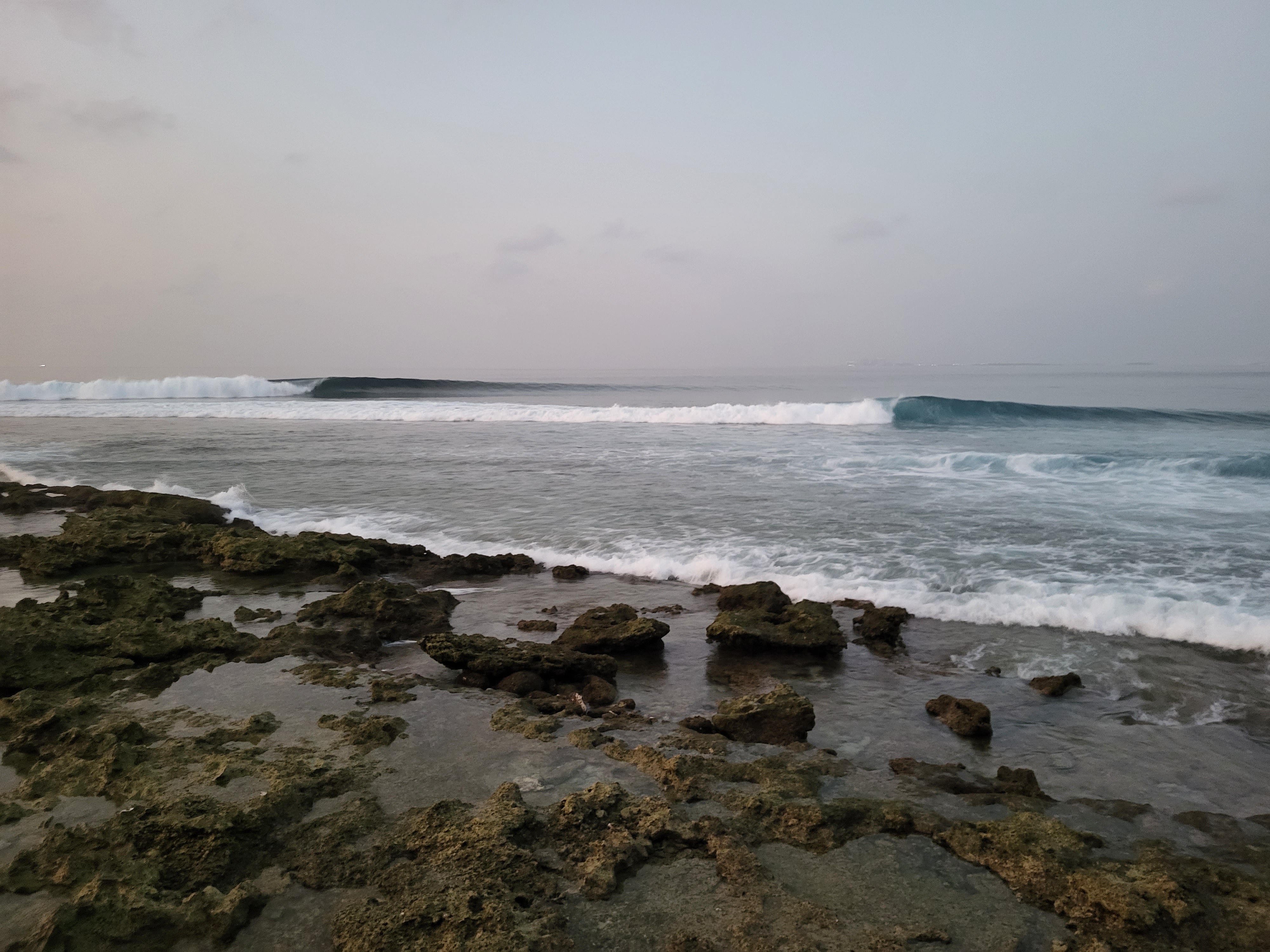 20230418_054407.jpg