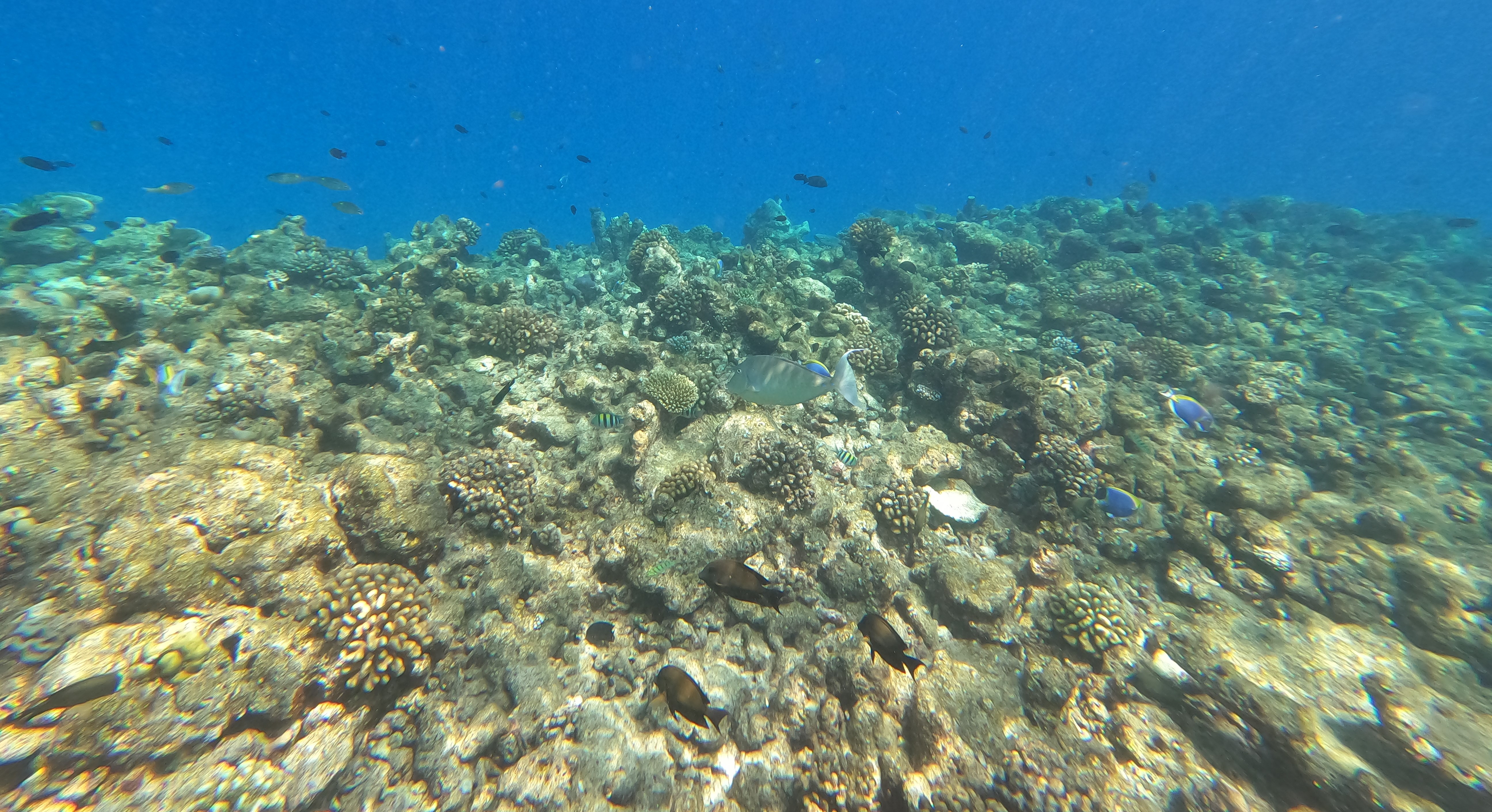 GOPR0190.JPG