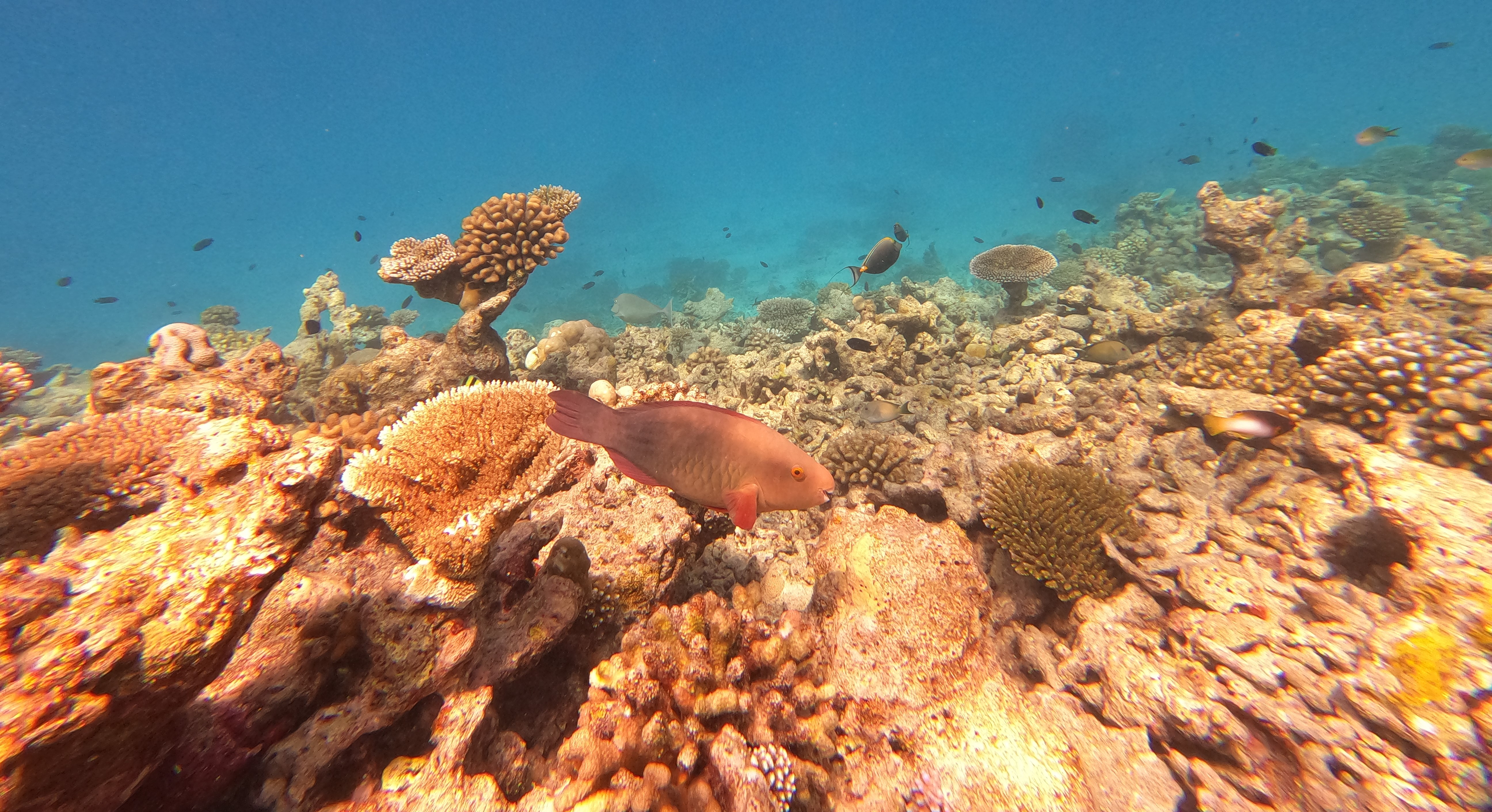 GOPR0194.JPG