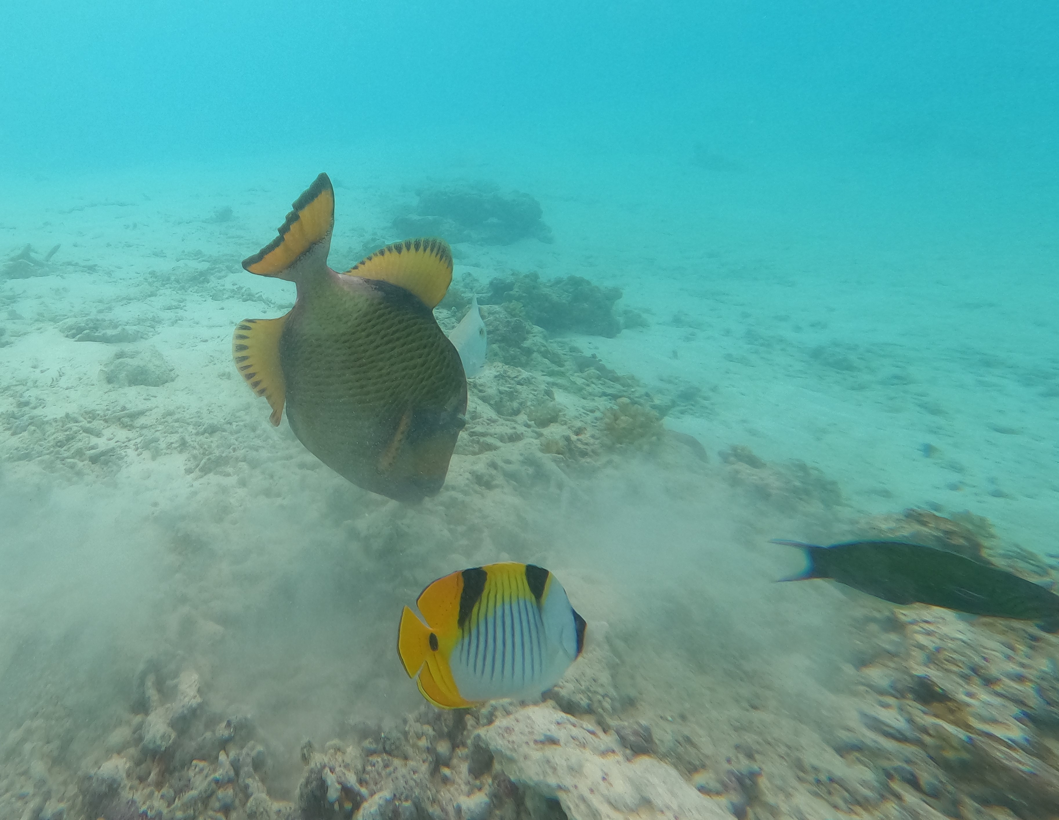 GOPR0225.JPG