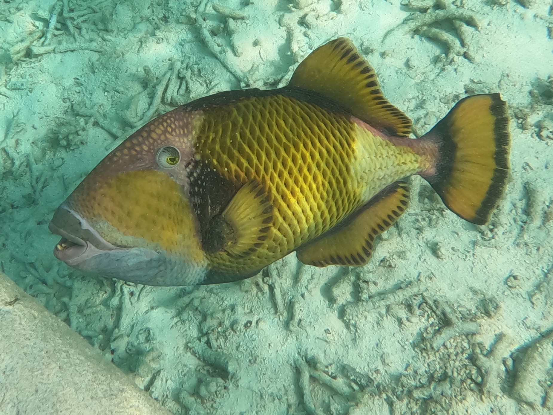 GOPR0264.JPG
