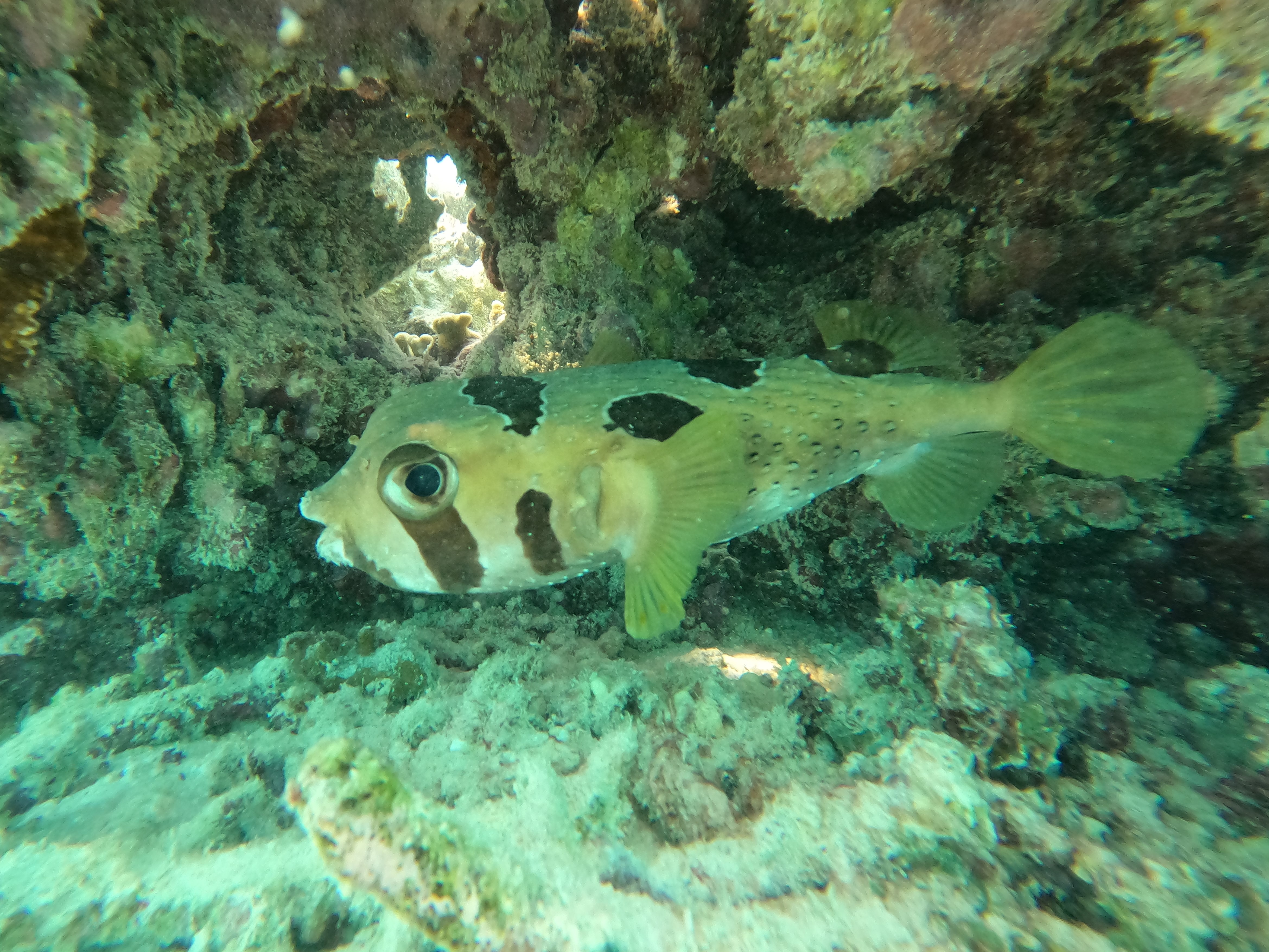 GOPR0285.JPG