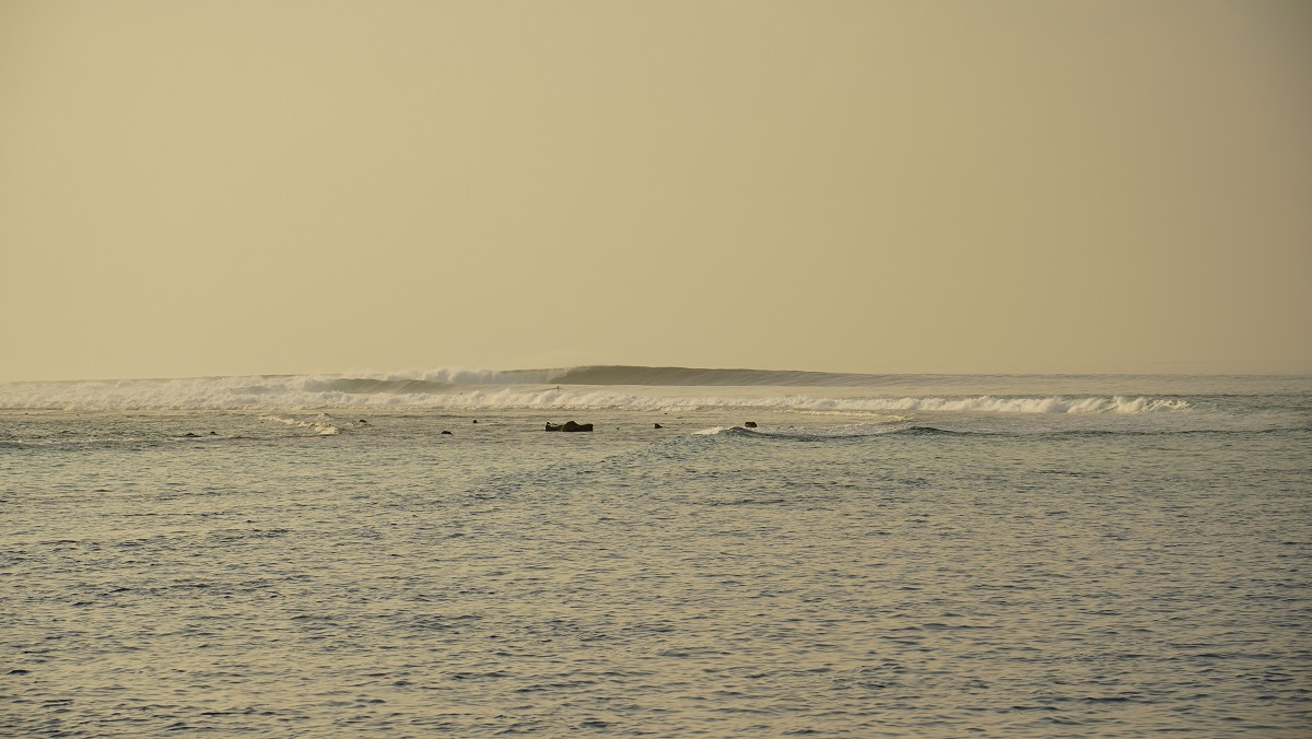 Lohi's au petit matin / DSC09595.JPG DSC09595.JPG