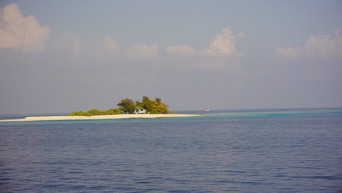 dolphin cruise sans dauphin ... / DSC09601.JPG DSC09601.JPG