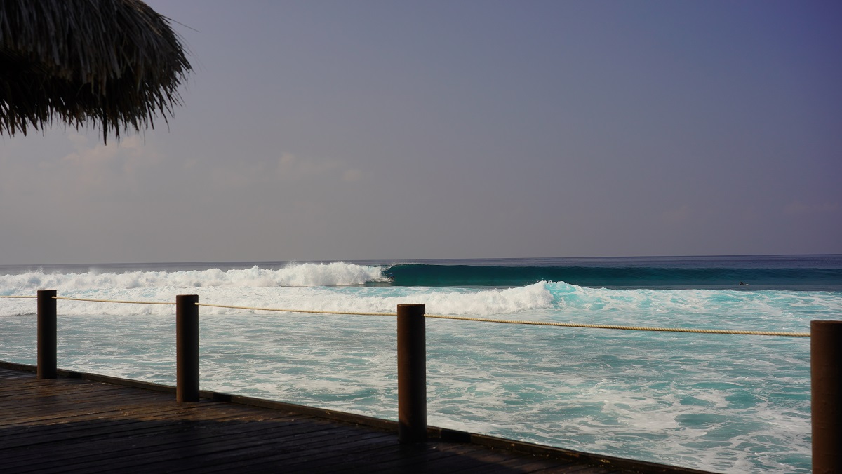 DSC09645.JPG DSC09645.JPG