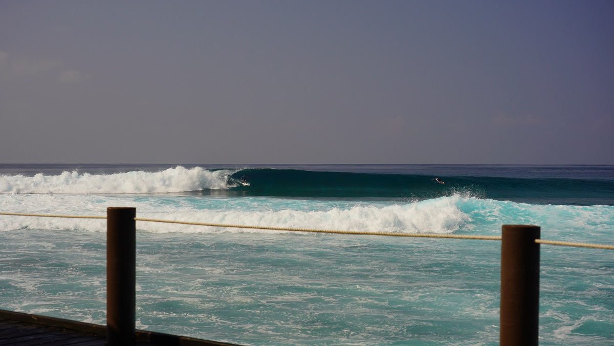 DSC09648.JPG DSC09648.JPG