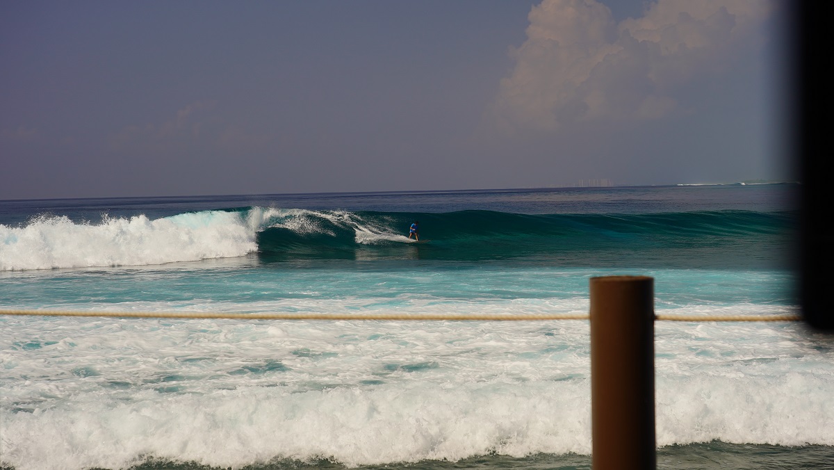 DSC09657.JPG DSC09657.JPG