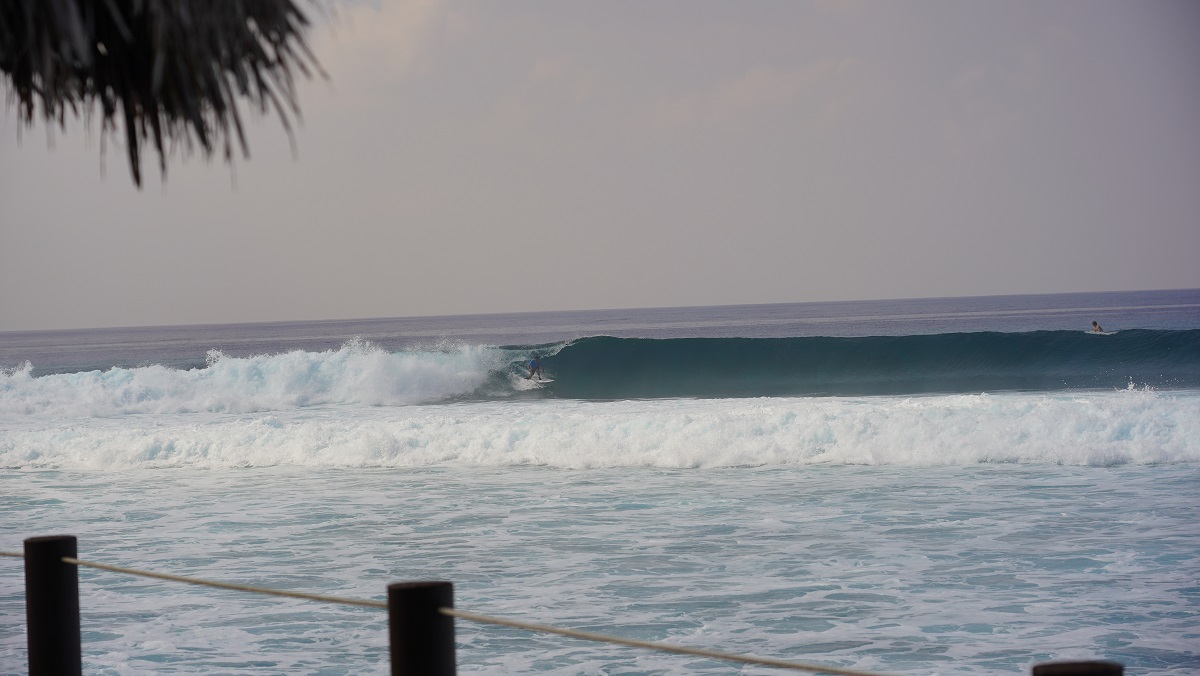 DSC09667.JPG DSC09667.JPG