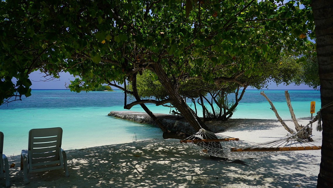 DSC09682.JPG DSC09682.JPG