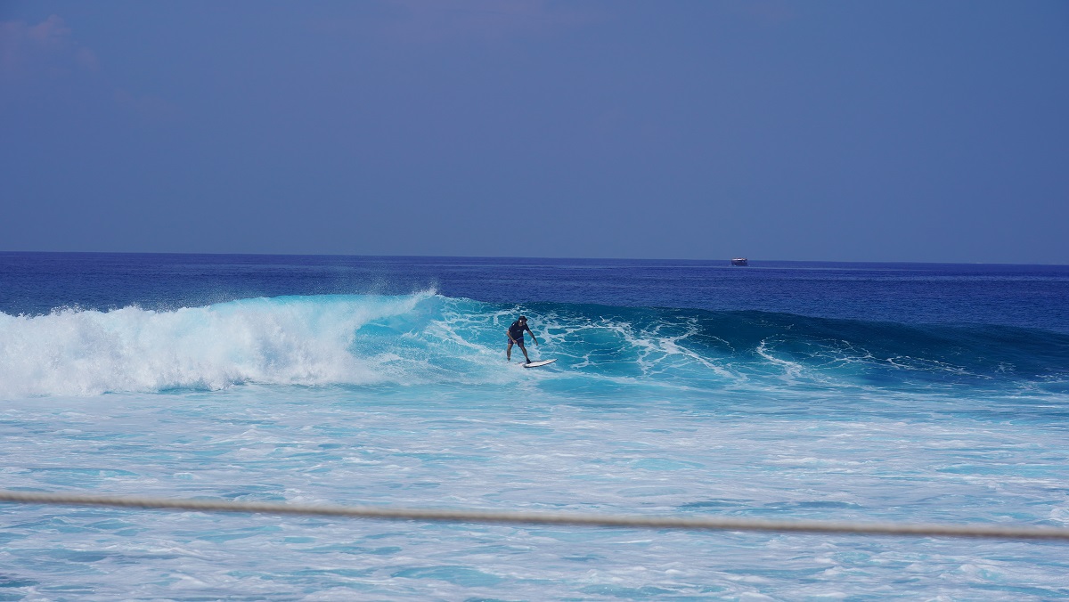 DSC09763.JPG