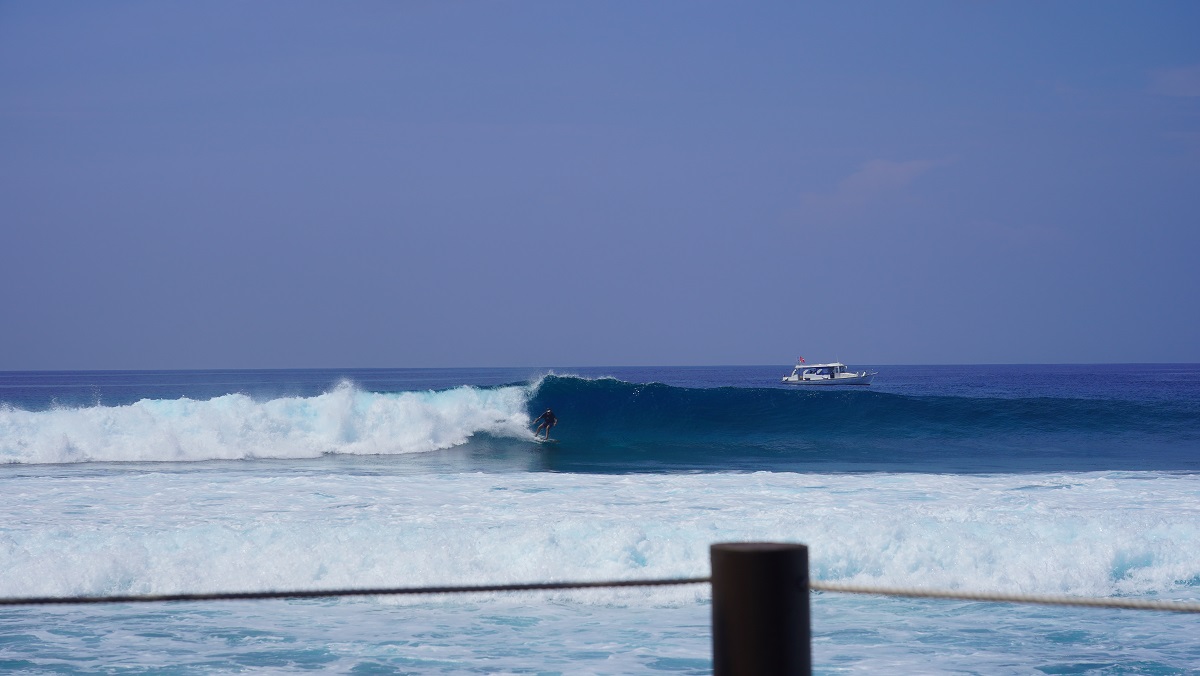 DSC09771.JPG
