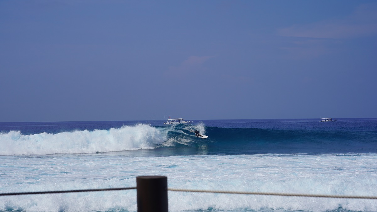 DSC09773.JPG