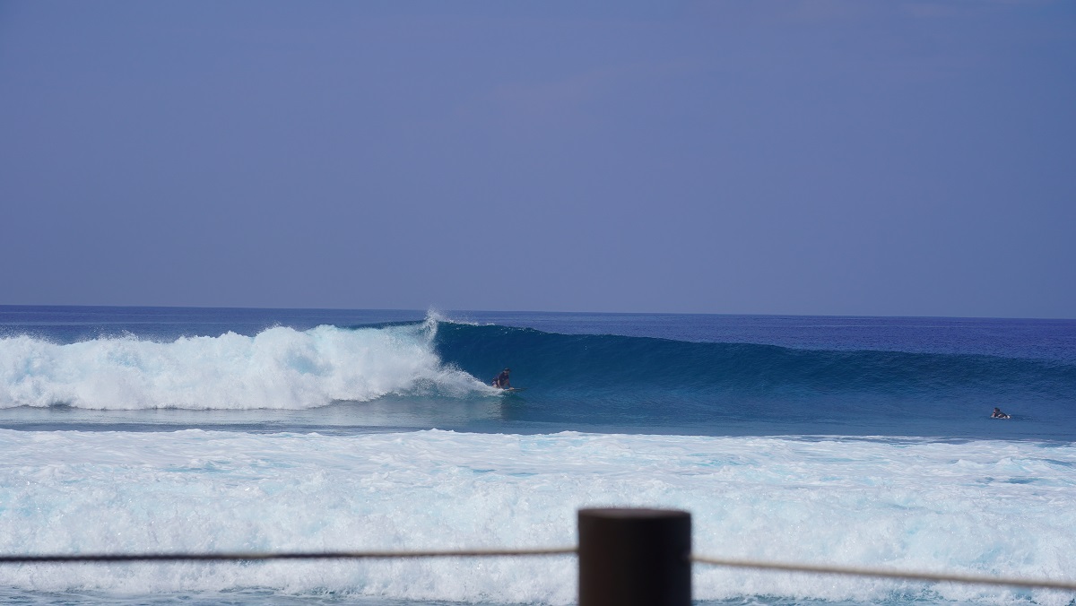 DSC09814.JPG
