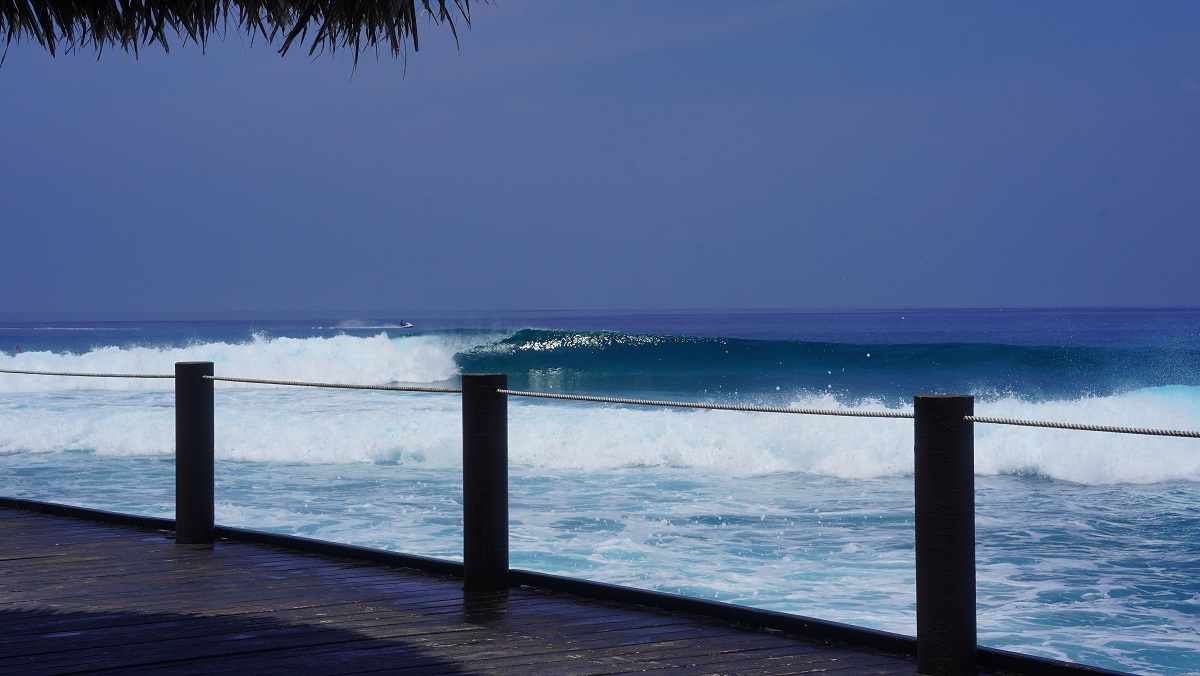 line-up / DSC00085.JPG DSC00085.JPG