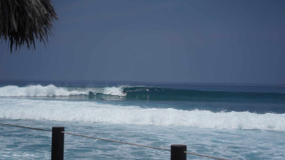 DSC00091.JPG DSC00091.JPG