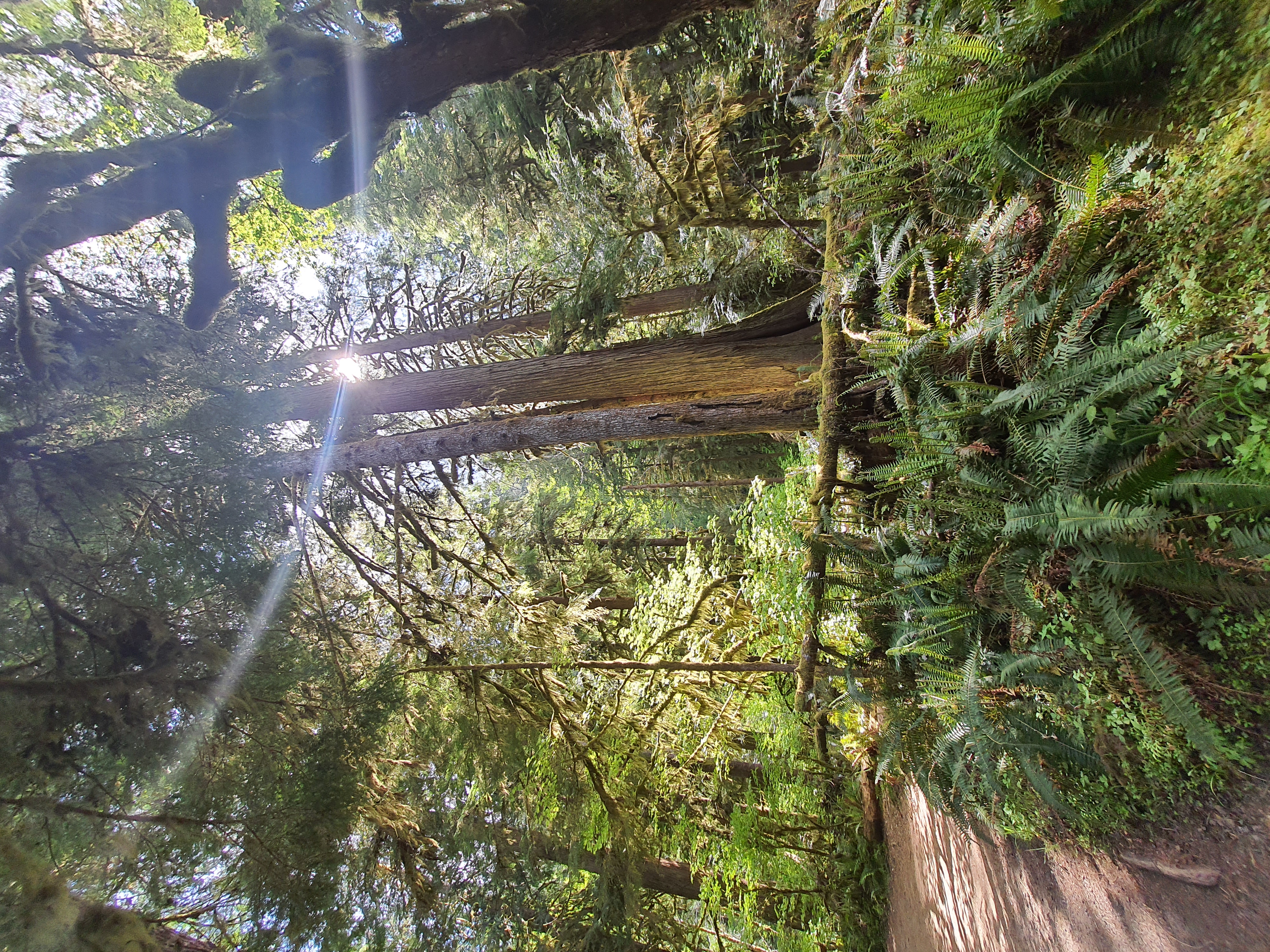 20230520_155828.jpg