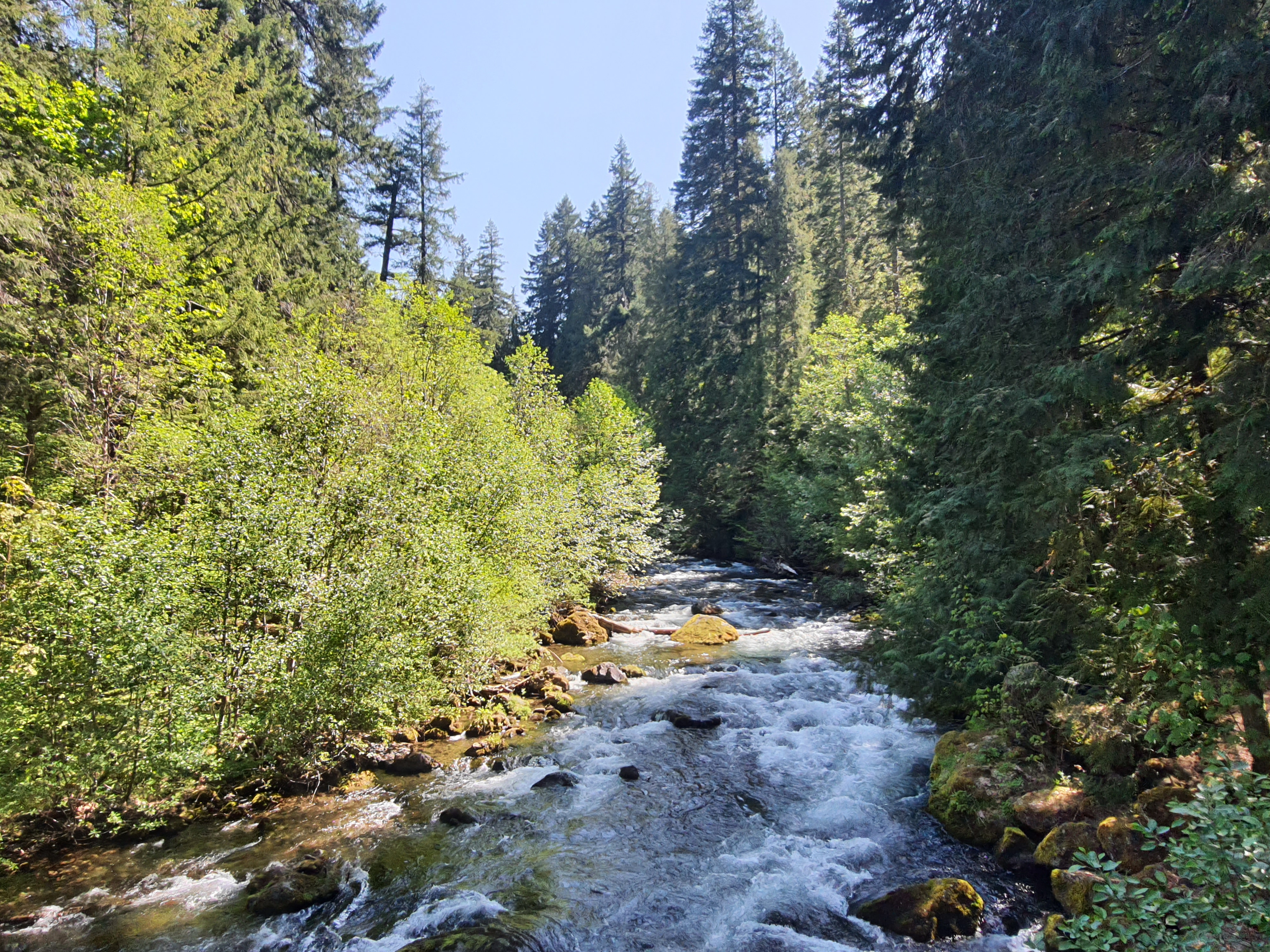 20230525_103147.jpg