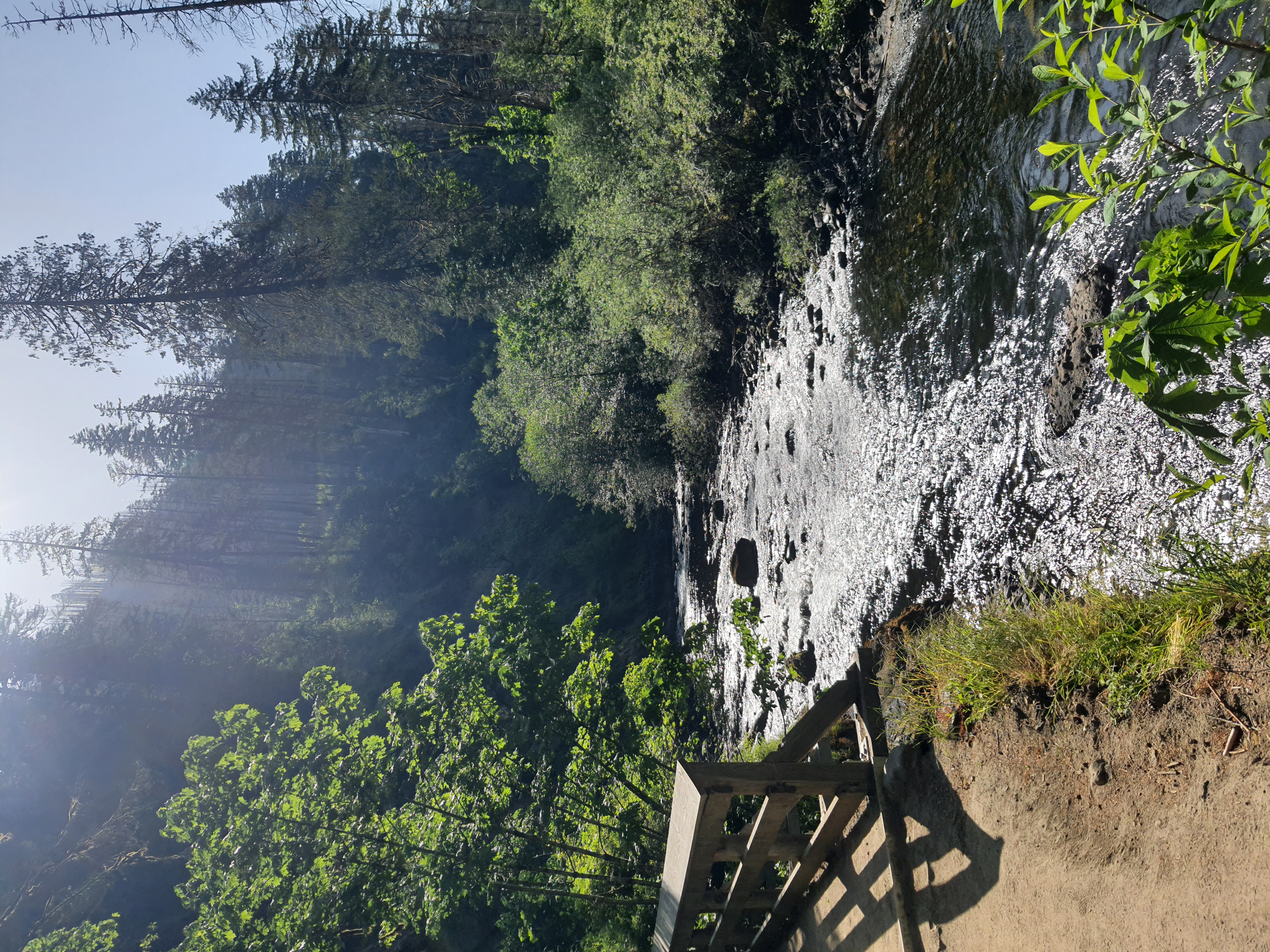 20230529_091345.jpg