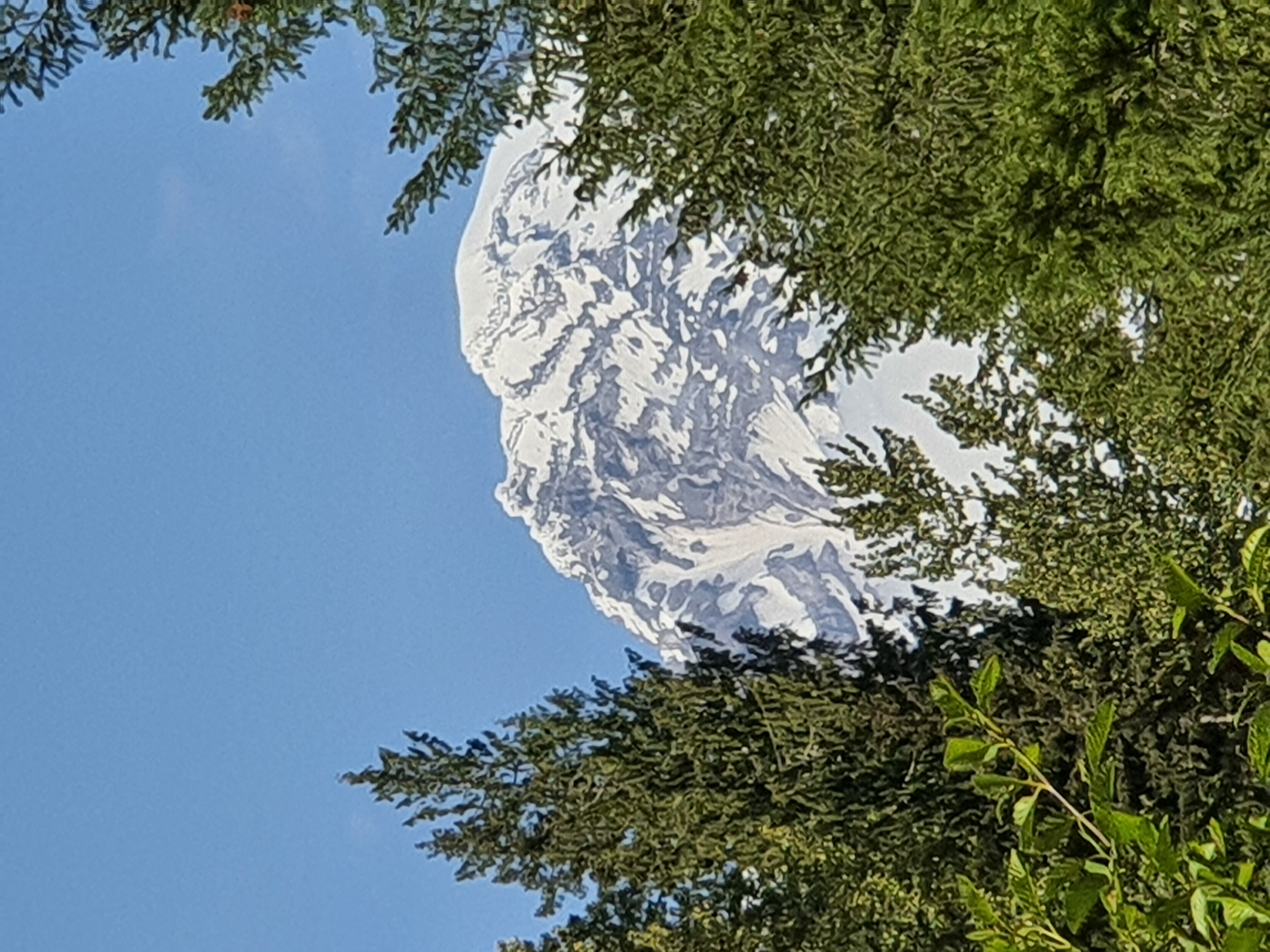 20230530_162157.jpg