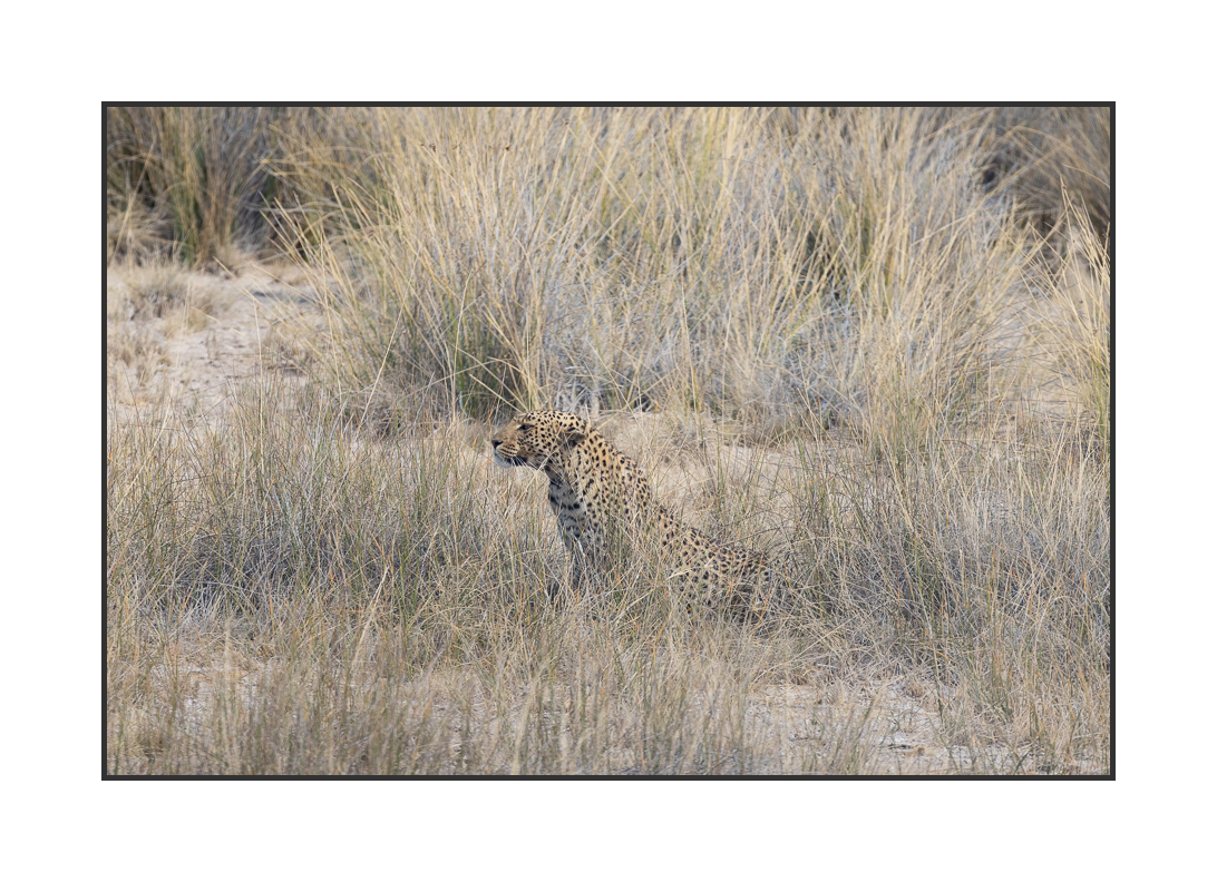 20230810-R5OS4722.jpg 20230810-R5OS4722.jpg