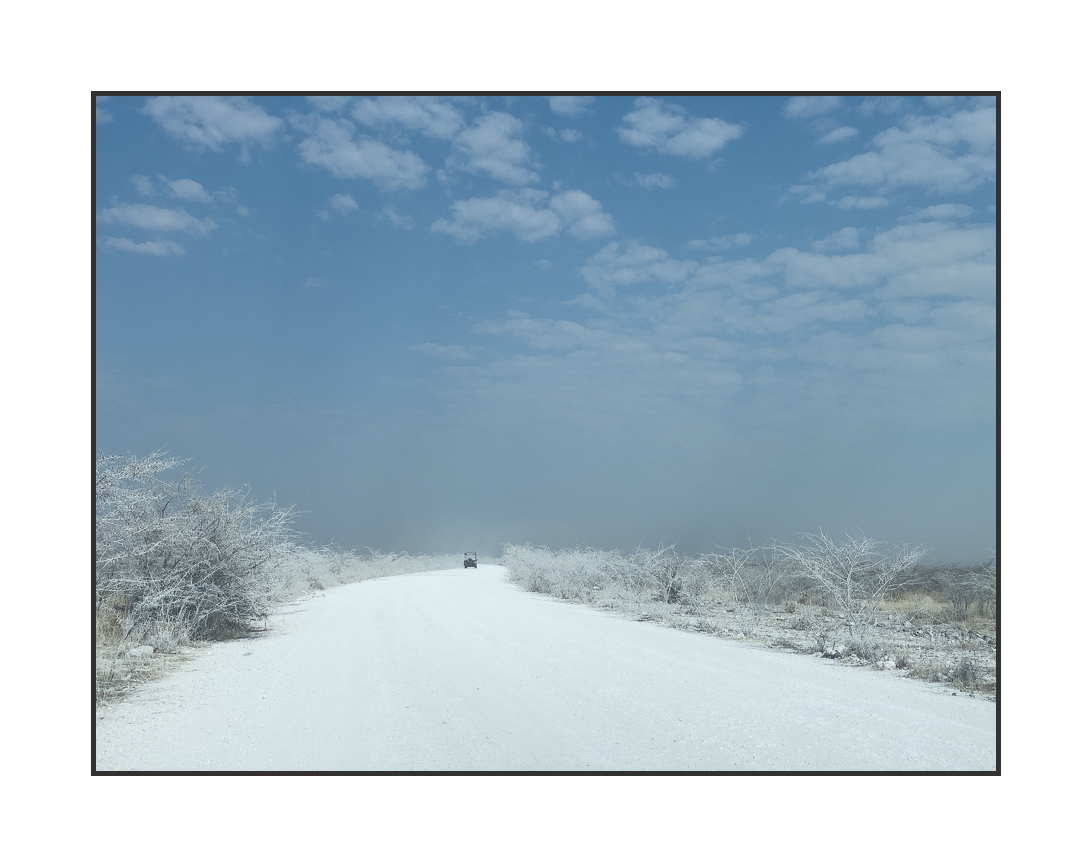 20230810-IMG_1775.jpg 20230810-IMG_1775.jpg