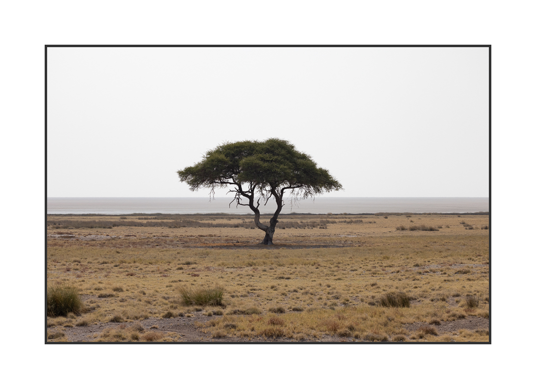 20230810-R5OS4796.jpg 20230810-R5OS4796.jpg