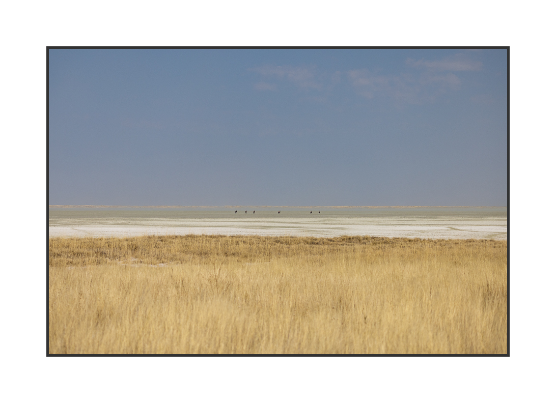 20230809-R5OS4422.jpg 20230809-R5OS4422.jpg