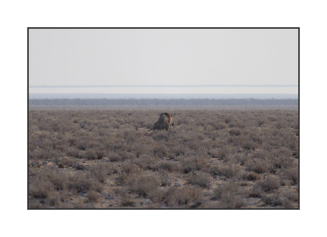 20230811-R5OS4837.jpg 20230811-R5OS4837.jpg