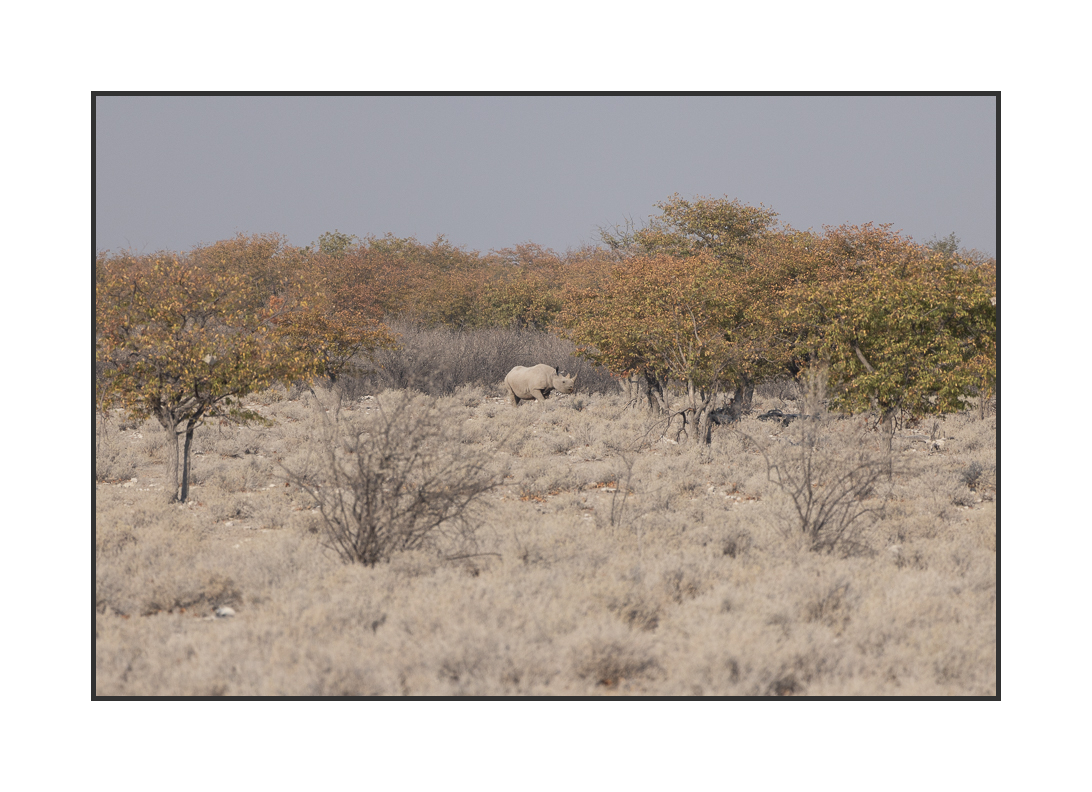 20230811-R5OS4879.jpg 20230811-R5OS4879.jpg