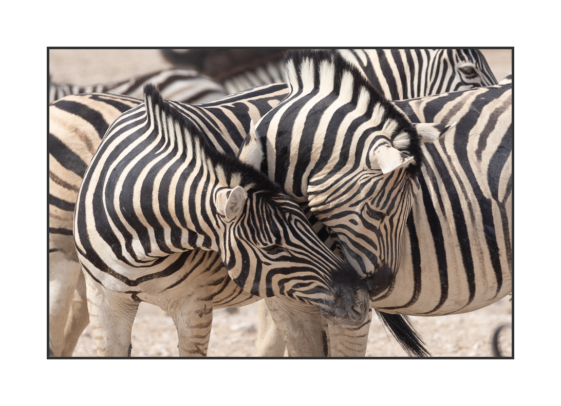 20230811-R5OS5024.jpg 20230811-R5OS5024.jpg