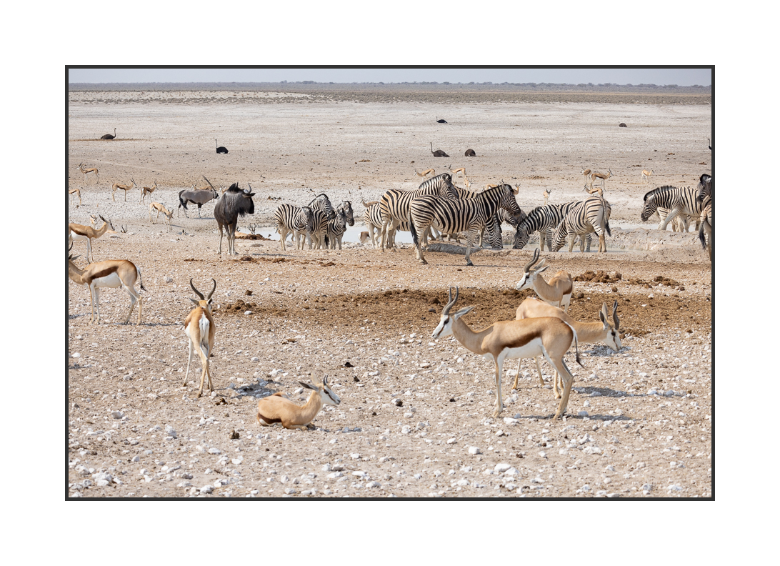 20230811-R5OS5015.jpg 20230811-R5OS5015.jpg