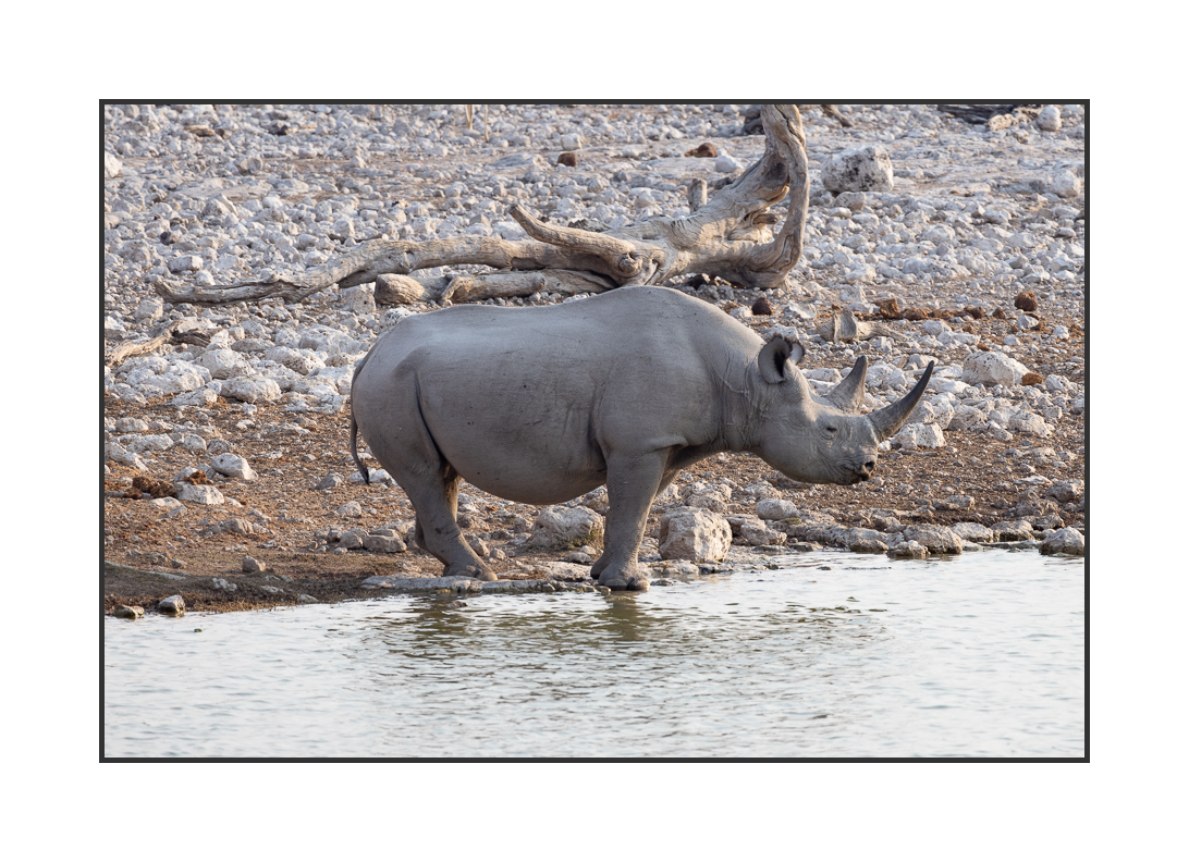 20230811-R5OS5102.jpg 20230811-R5OS5102.jpg