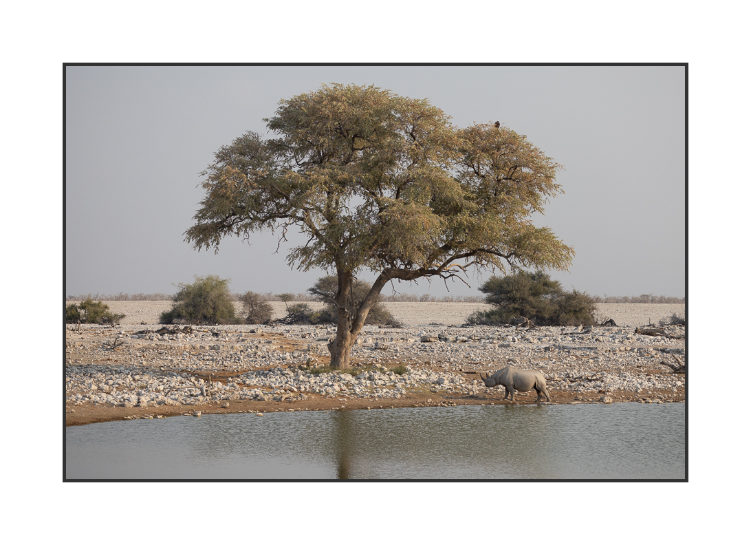 20230811-R5OS5112.jpg 20230811-R5OS5112.jpg