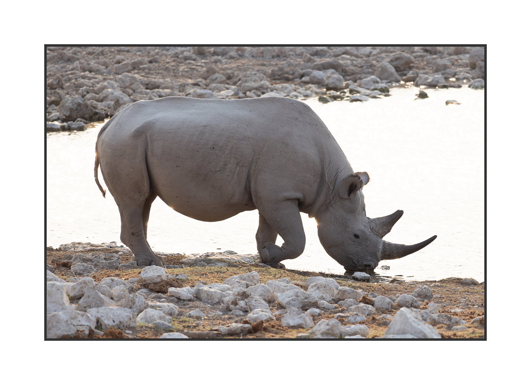 20230811-R5OS5139.jpg 20230811-R5OS5139.jpg