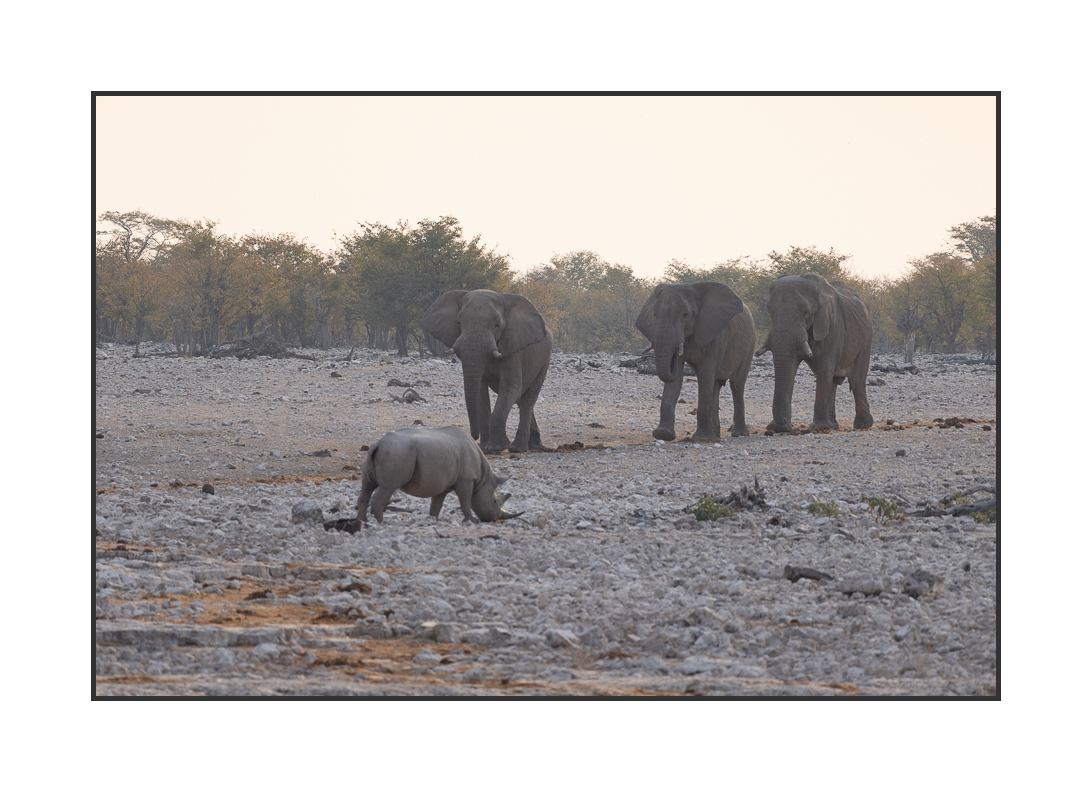 20230811-R5OS5206.jpg 20230811-R5OS5206.jpg