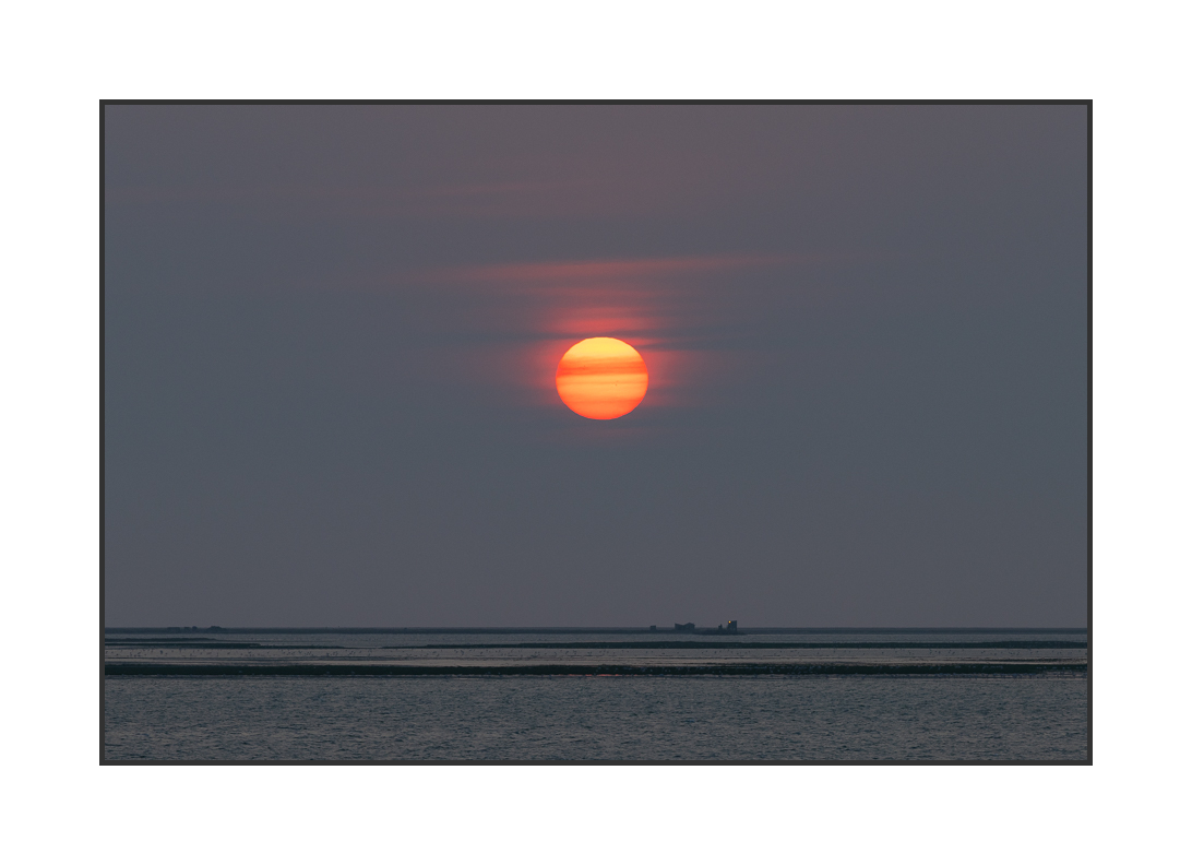 20230816-R5OS6904.jpg
