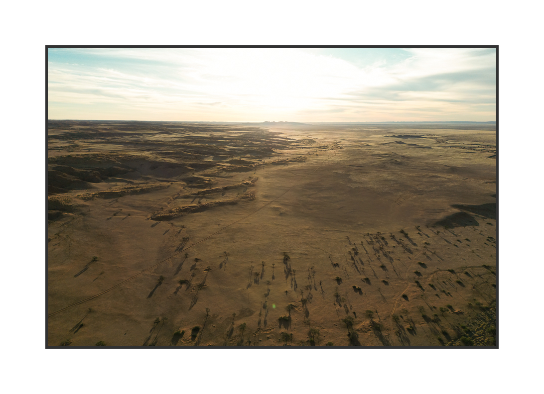 20230818-DJI_0464.jpg