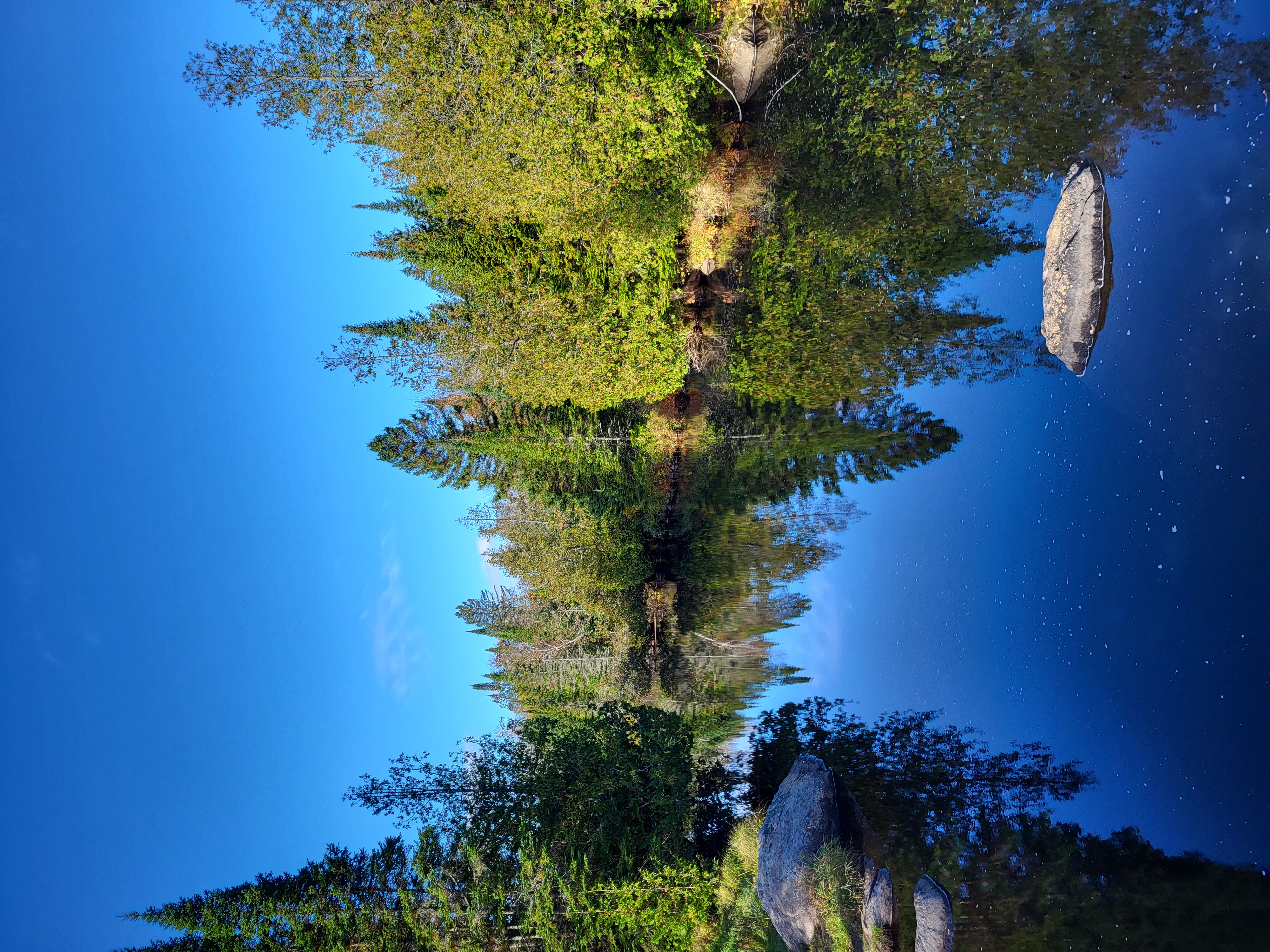 20231016_094205.jpg