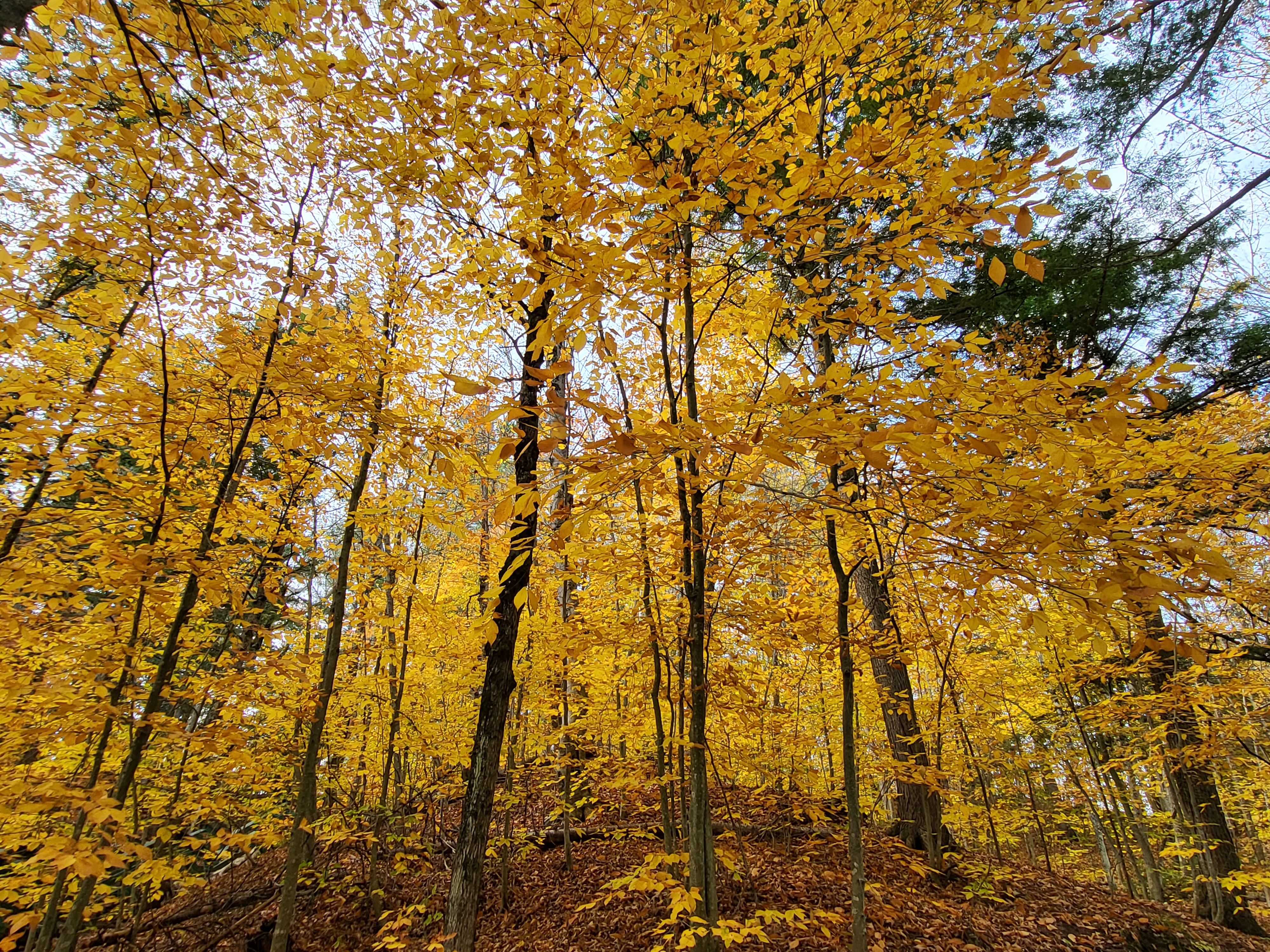 20231019_131116.jpg