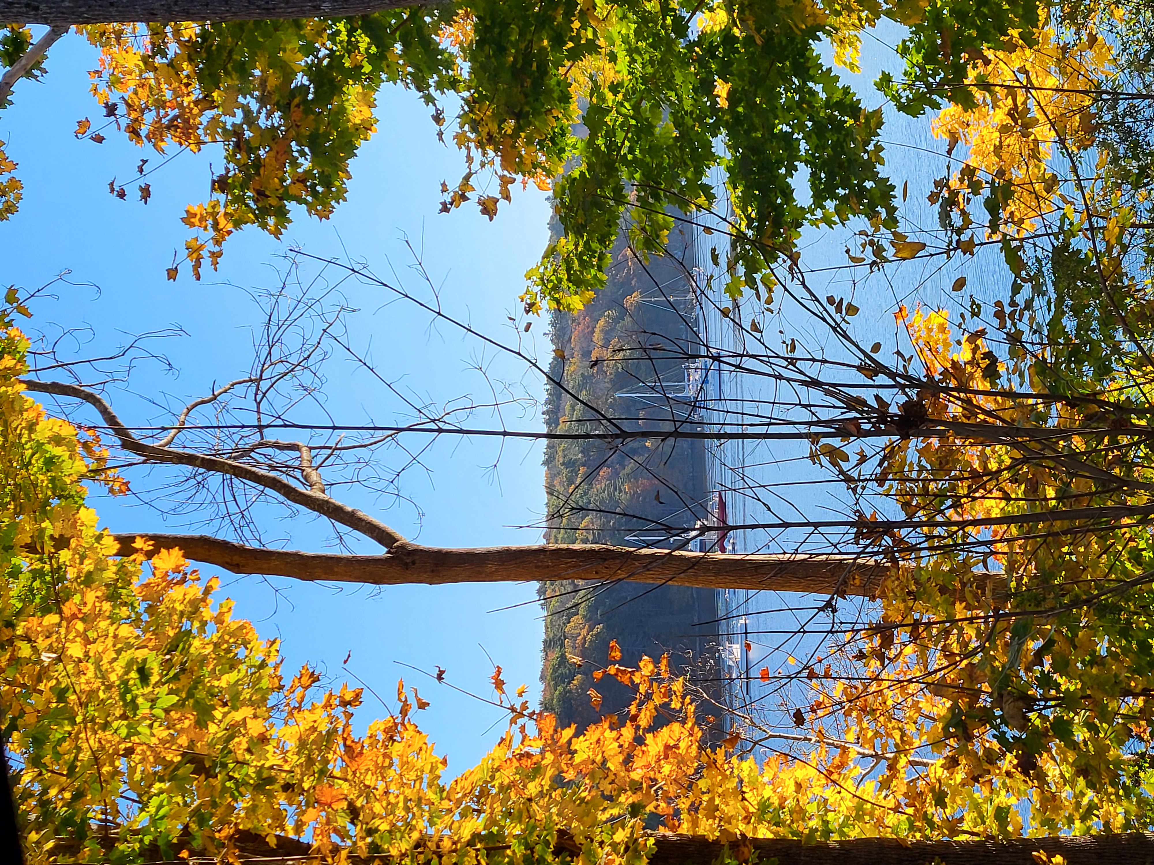 20231024_084310.jpg