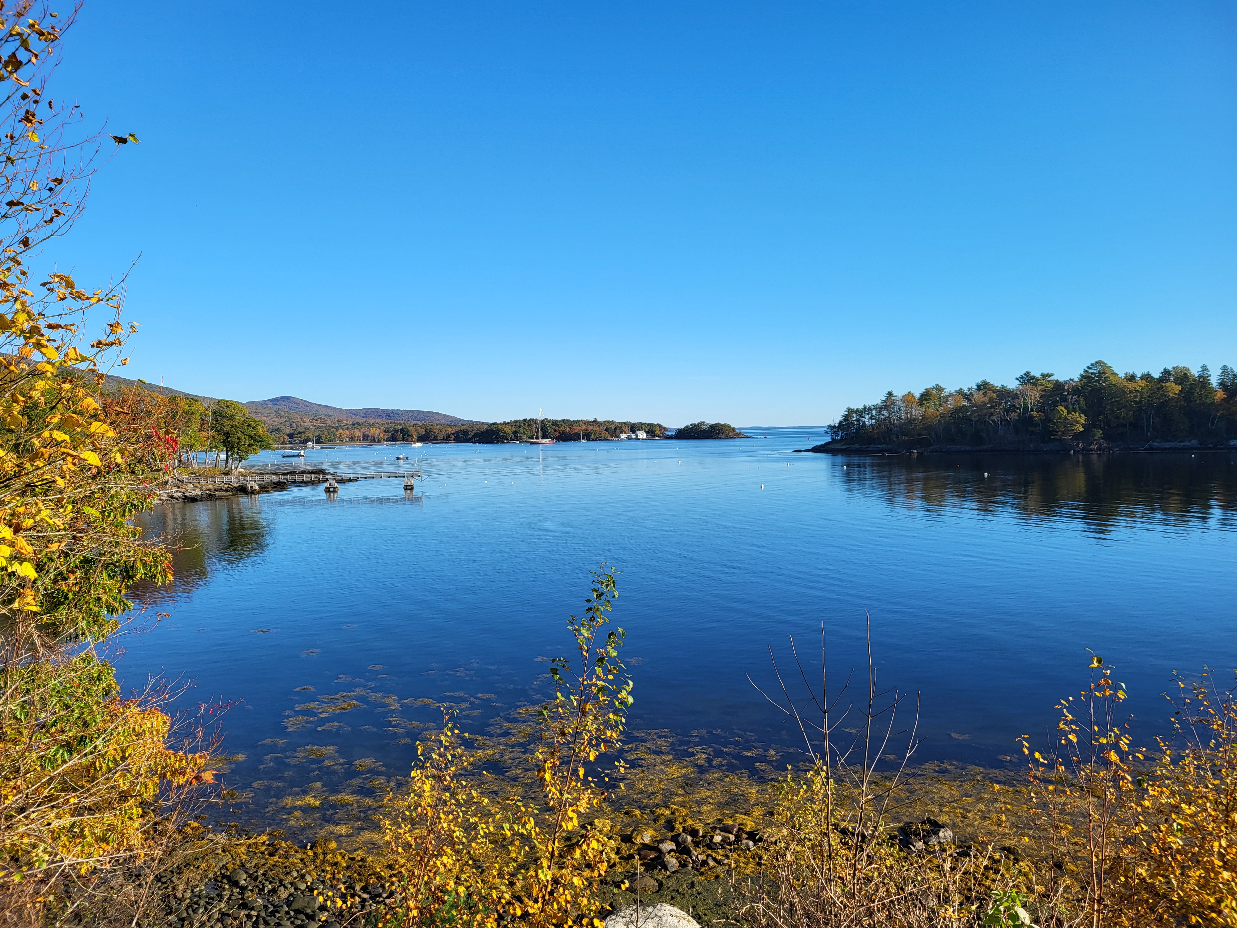 20231024_091759.jpg