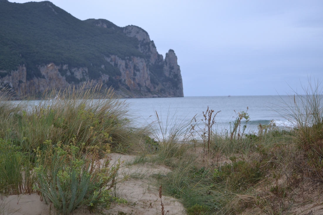 DSC_8852.JPG