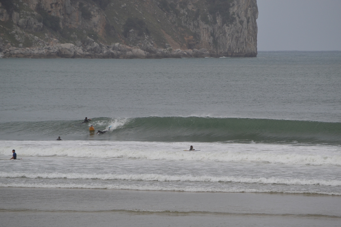 DSC_8866.JPG