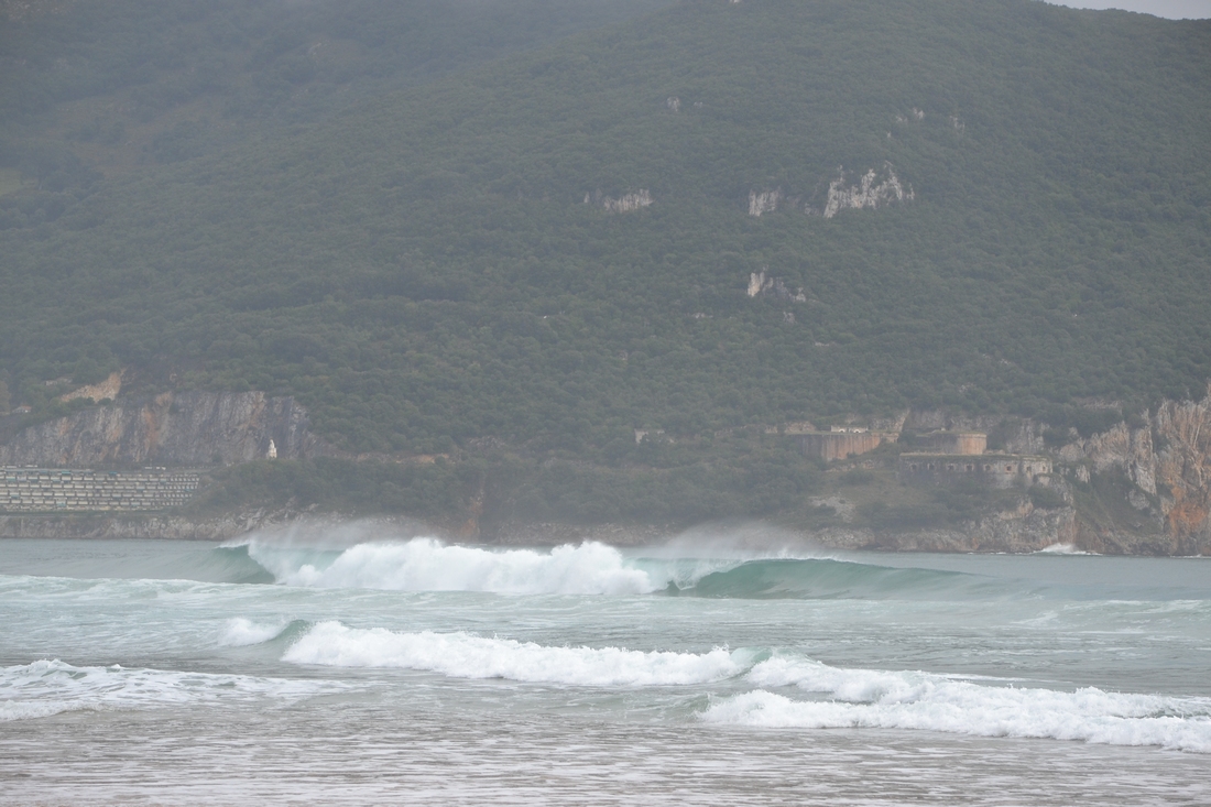 DSC_8918.JPG