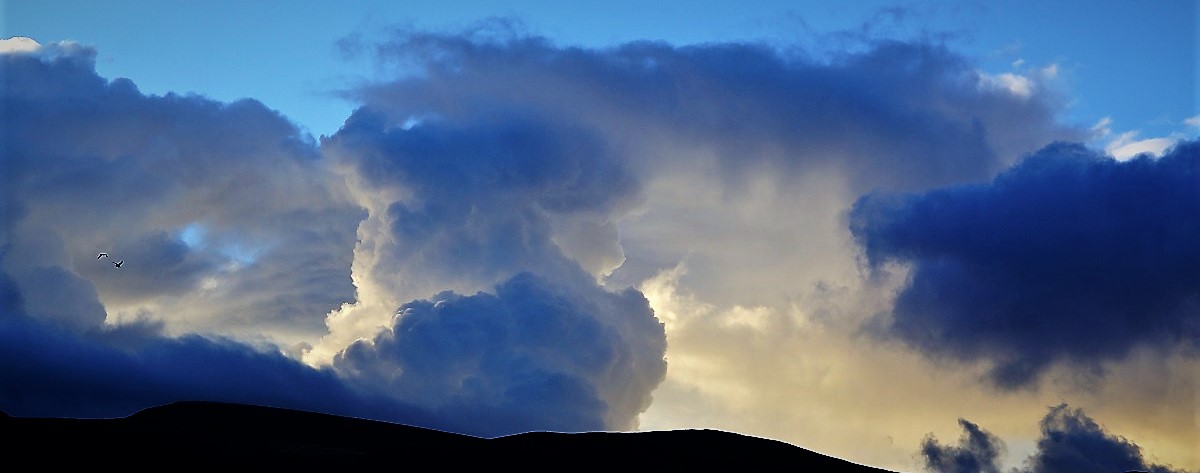 DSC01035.JPG DSC01035.JPG