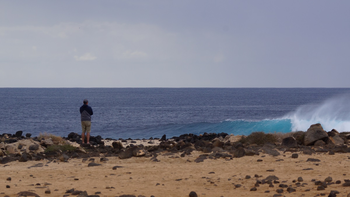 DSC01010.JPG DSC01010.JPG