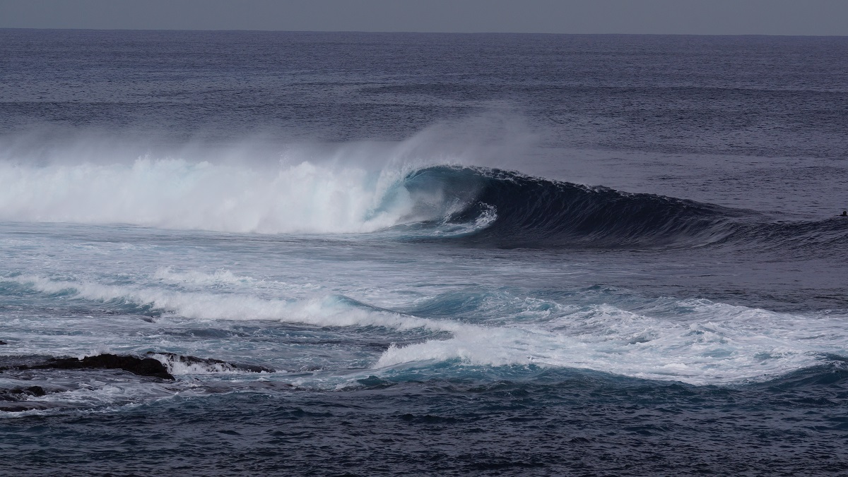 DSC00978.JPG DSC00978.JPG