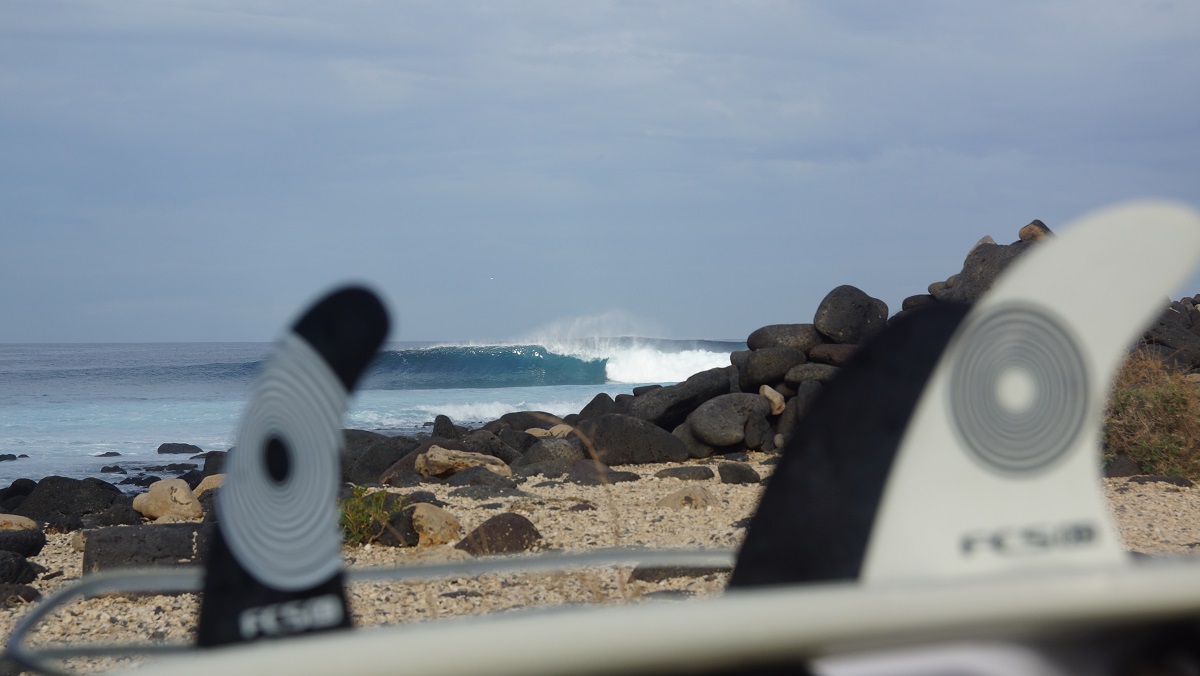 DSC00910.JPG DSC00910.JPG